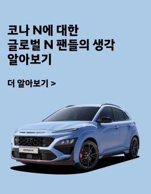 글로벌 N 팬들의 코나 N에 대한 생각 알아보기
