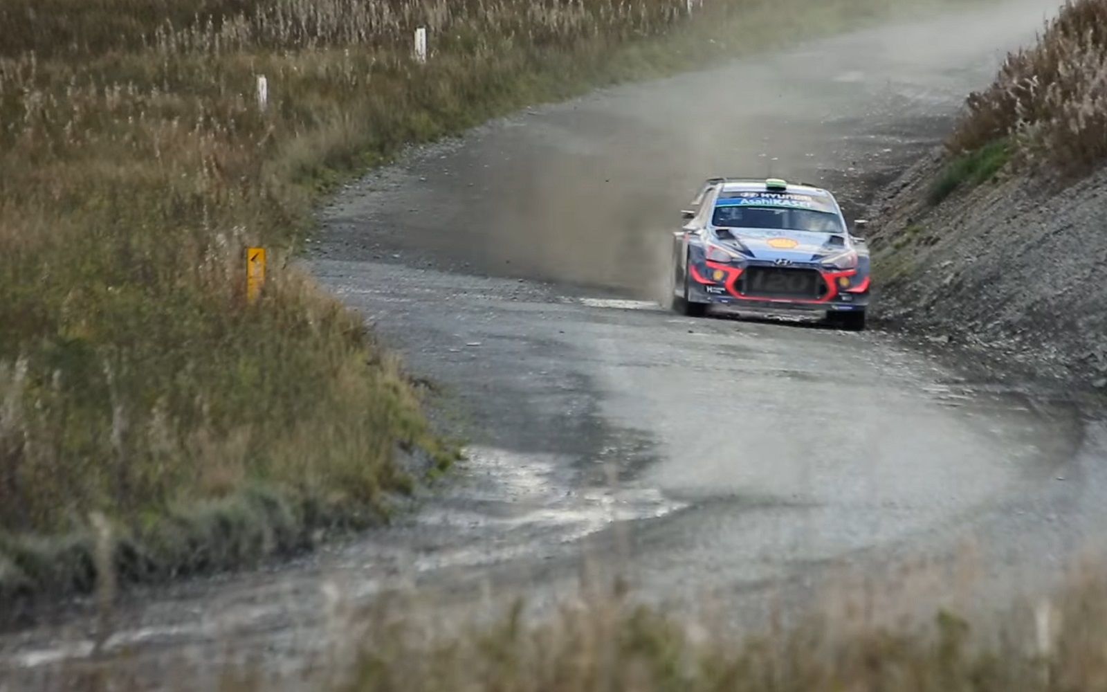 i20 Coupe WRC