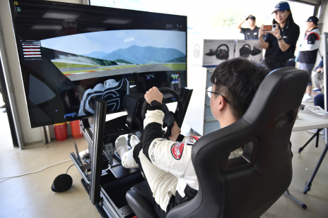 Sim Racing image