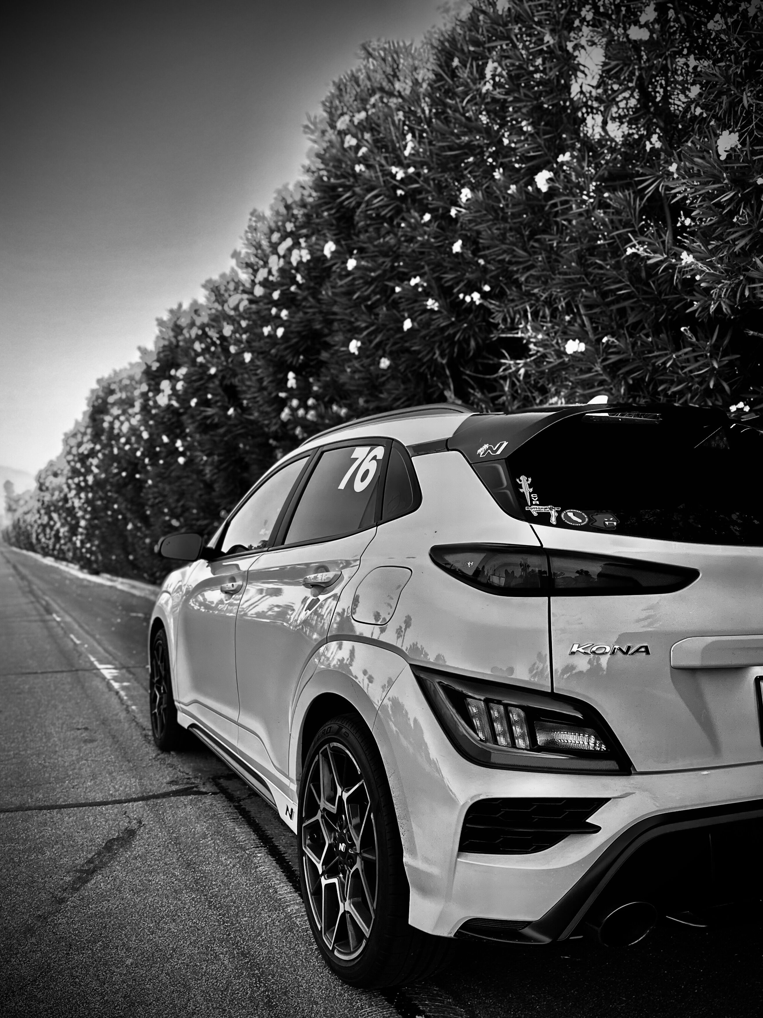 Kona N parked next to a large hedge. 