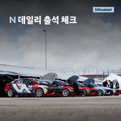 N 데일리 출석 체크