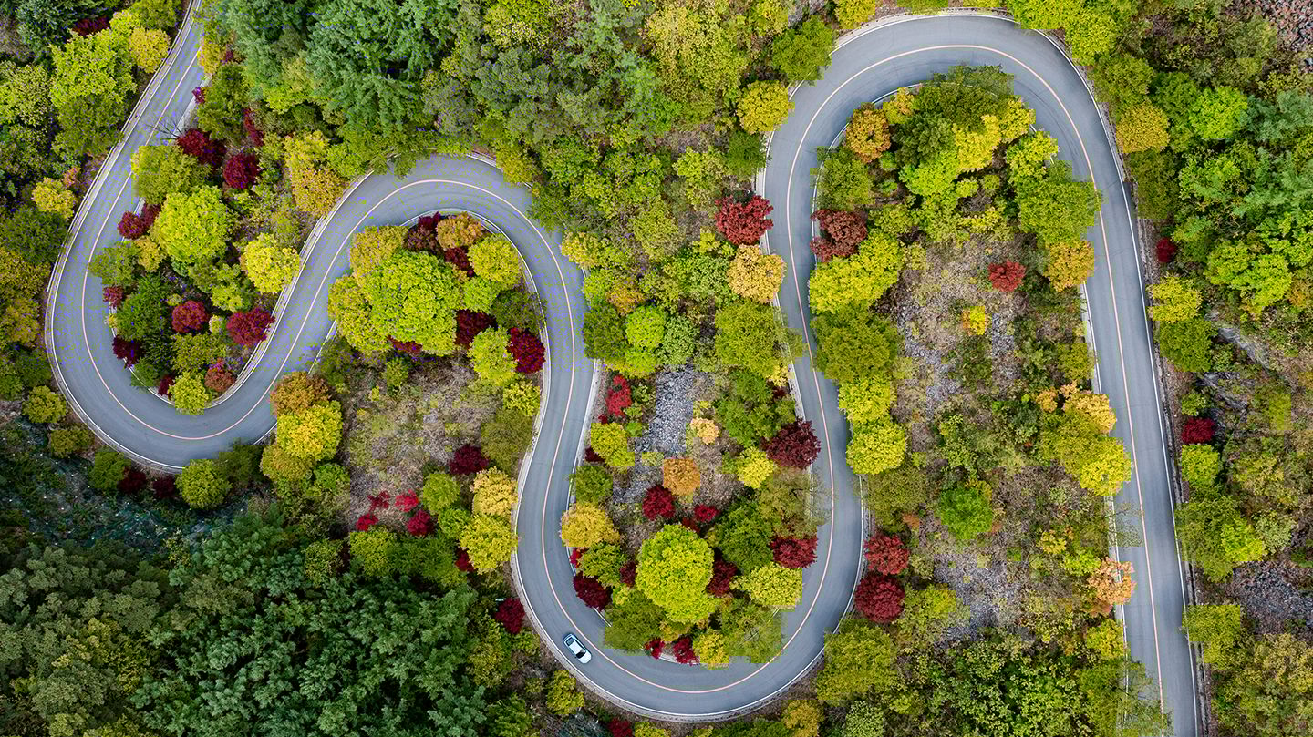 Aerial view of a curved road amongst dense trees