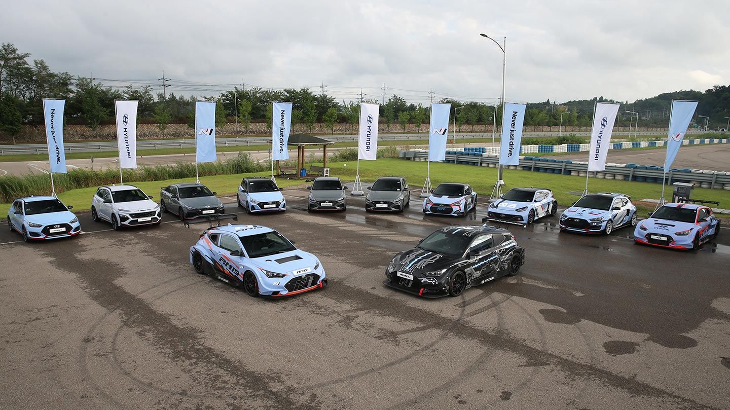 The RM project has been the foundation for developing high-performance N models since its establishment in 2012.