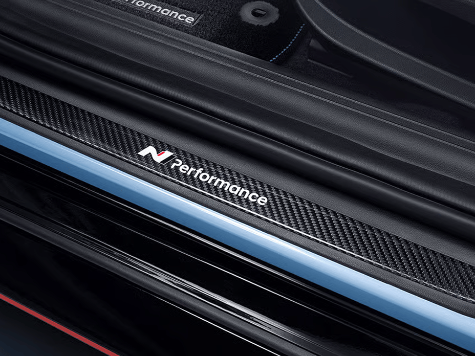 Carbon Fiber Door Scuff